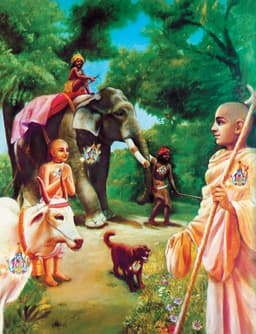 bhagavad gita
