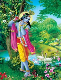 bhagavad gita